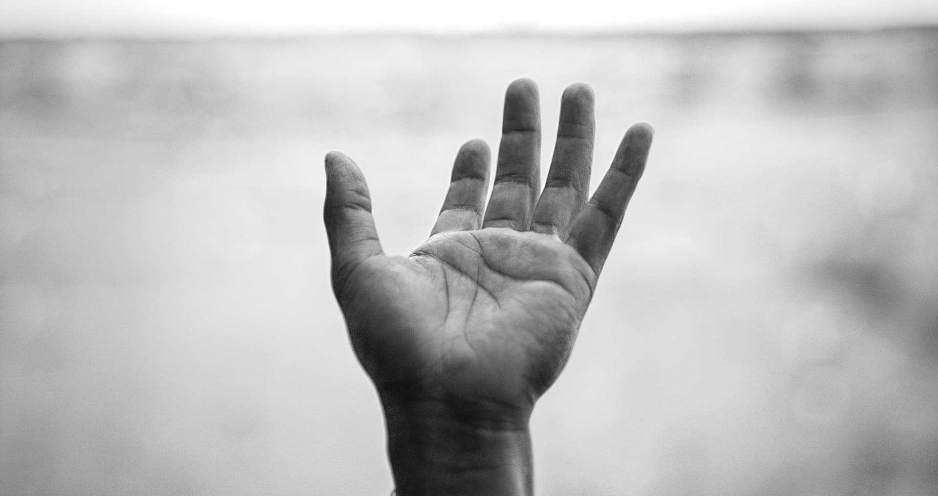 Professional palm reading hands