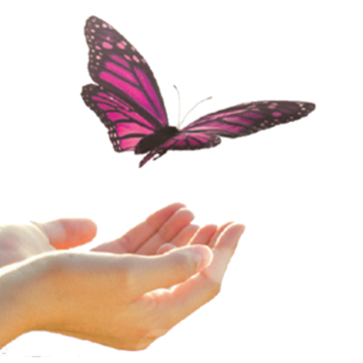 Palm reading session with butterfly symbolism